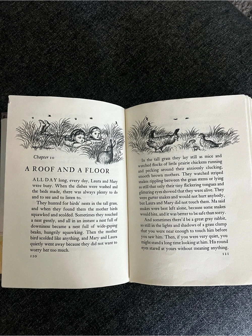 Little House on the Prairie Book